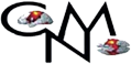 Clinical Neuromusicology Society